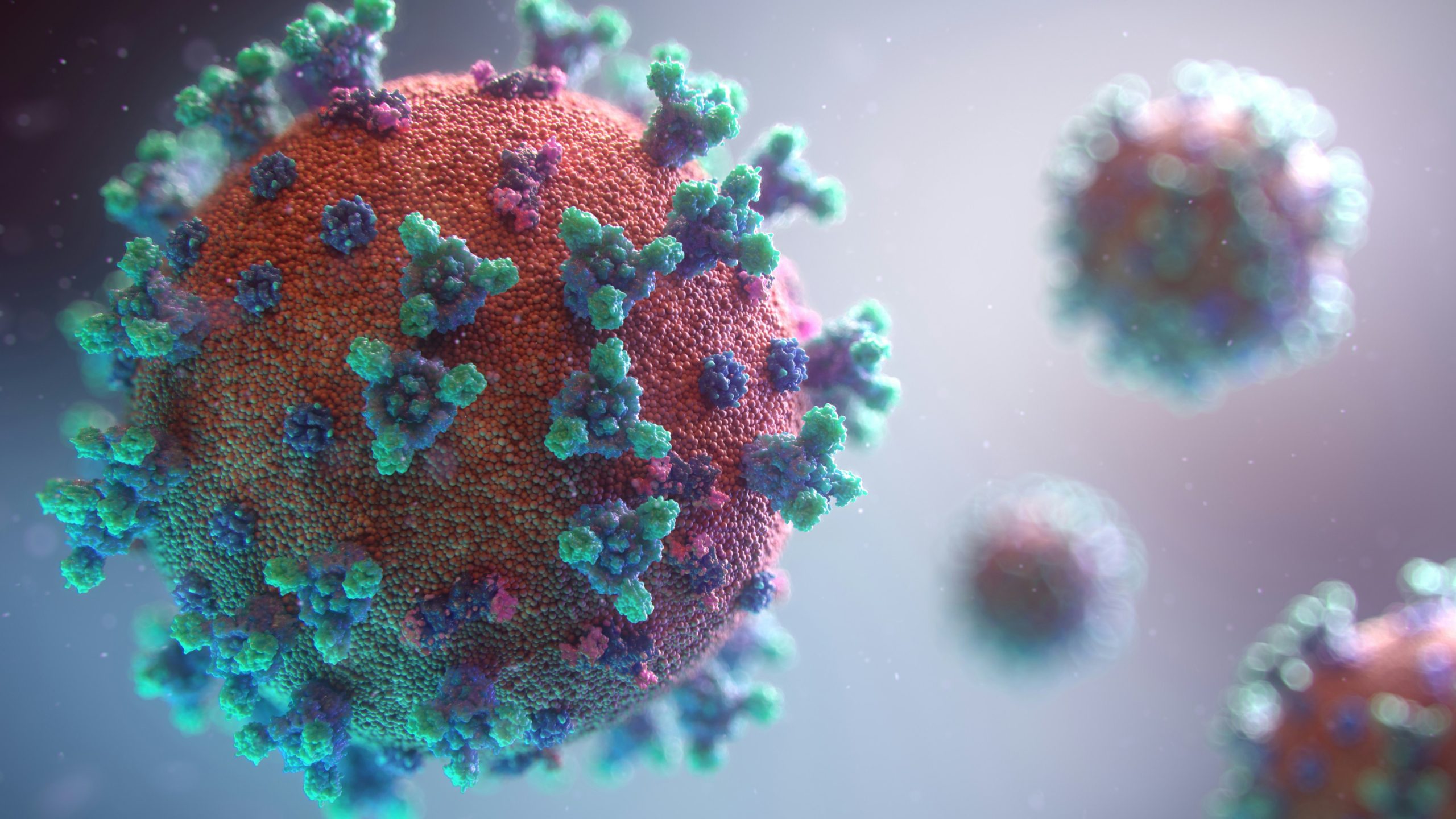 Chikungunya Virus: WHO Warns of Global Outbreak Risk