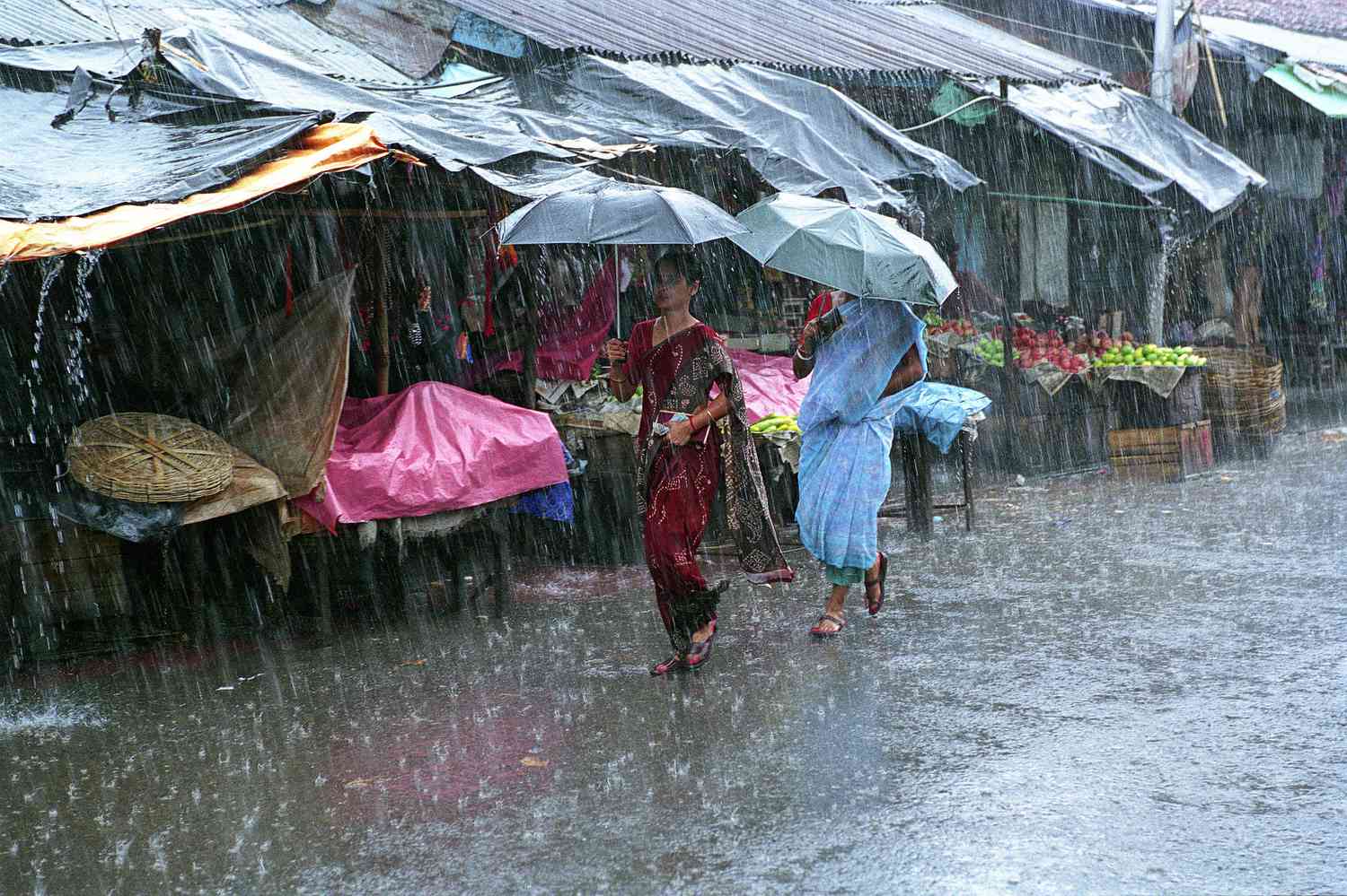 Monsoon Wellness Guide